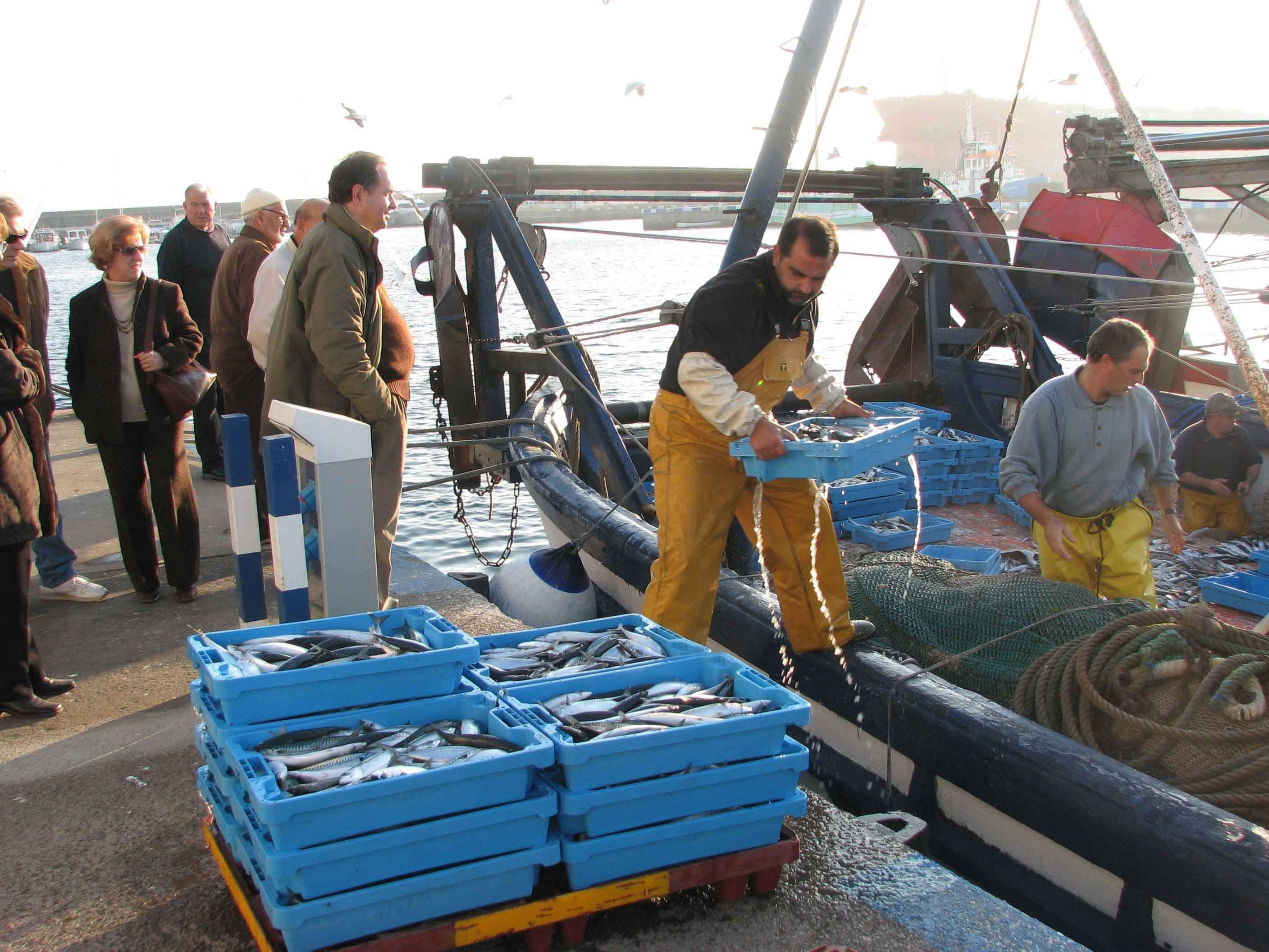 La pesca, un dels sector que ha guanyat ocupació