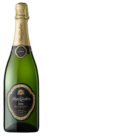Roger Goulart Gran Reserva 2005