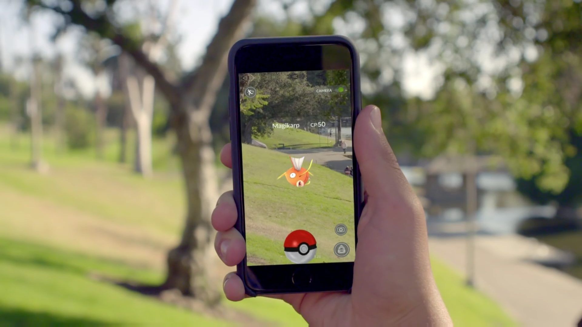 Pokemon Go Pron
