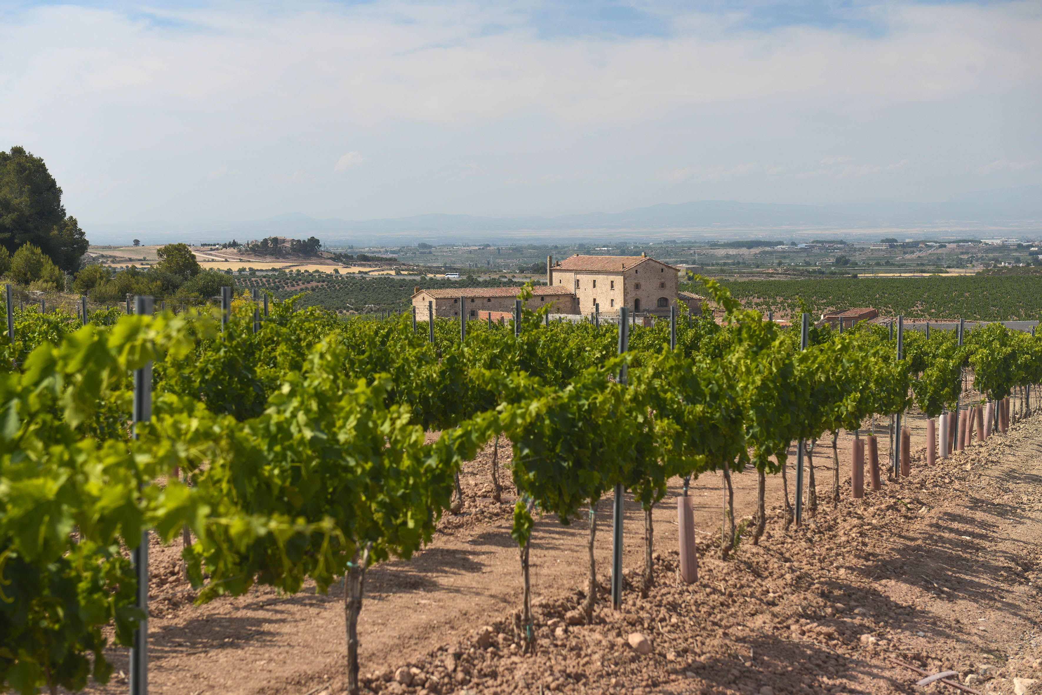 La finca de Torres a l'Aranyó