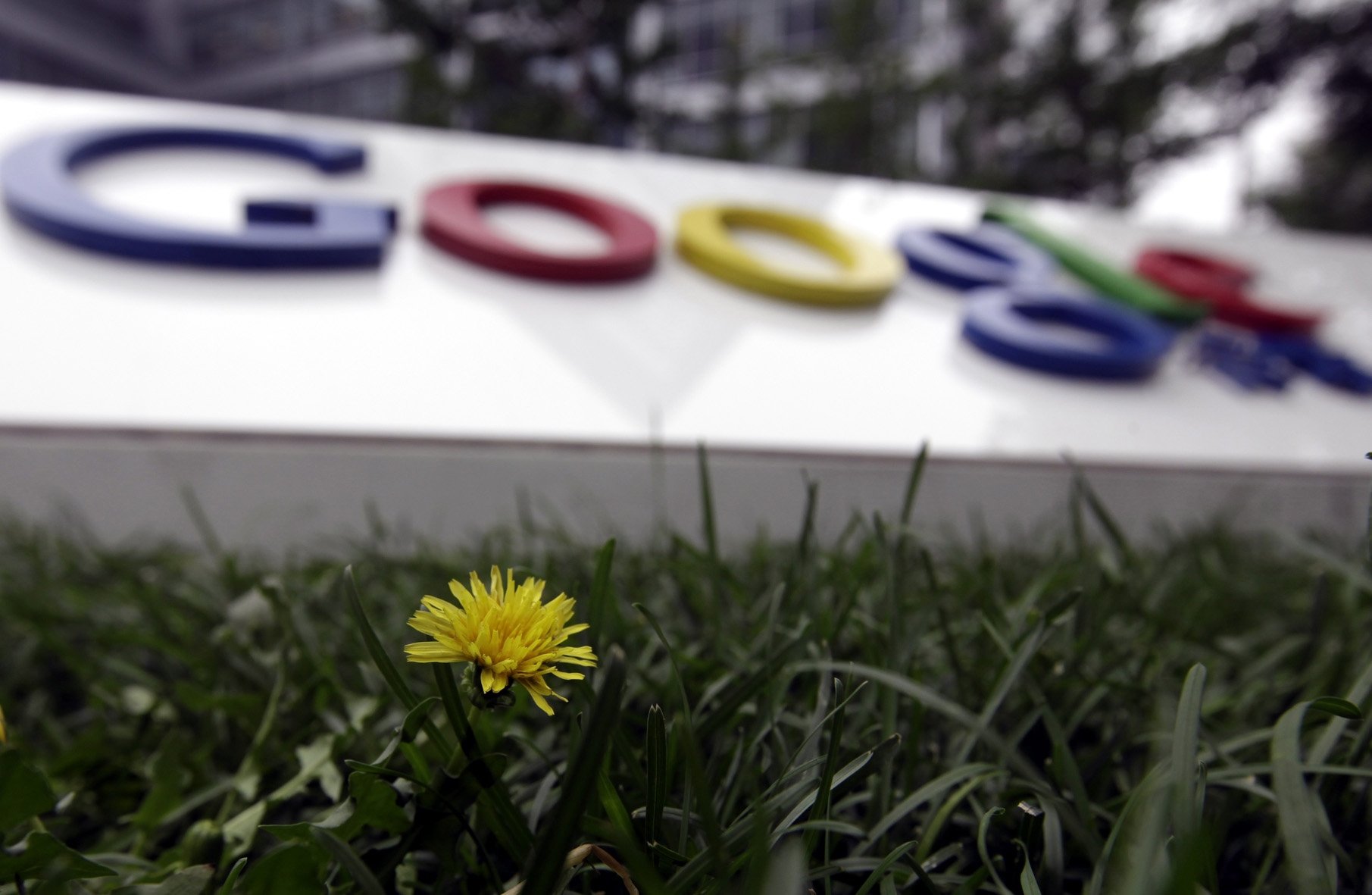 La sede de google