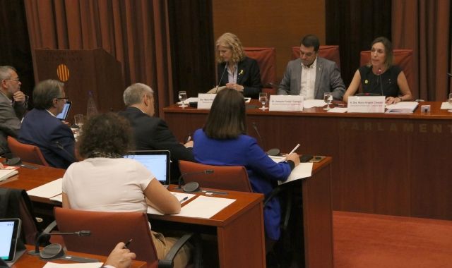 Chacón, durant la seva intervenció al Parlament | A. Zamorano (ACN)