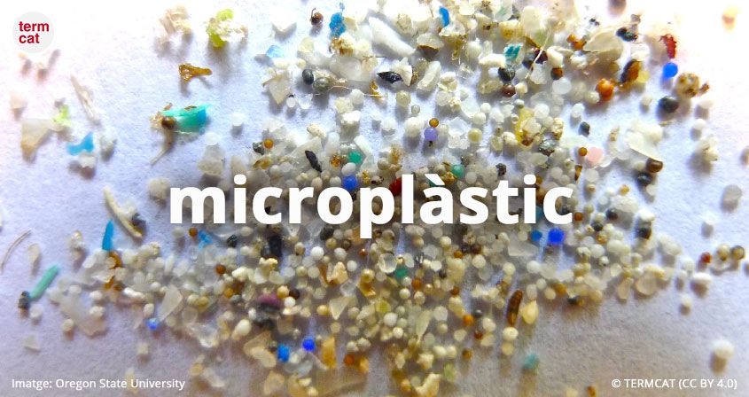 La palabra microplàstic ha sido considerada la palabra del 2018 en castelà | TERMCAT La palabra microplàstic ha sido considerada la palabra del 2018 en castelà | TERMCAT