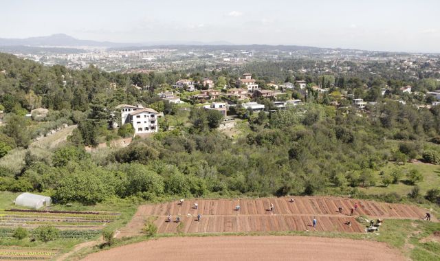 agricultura valles occidental