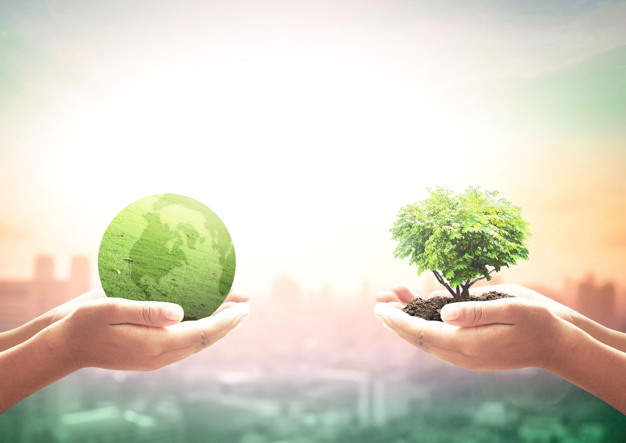 La sisena edició de 'Healthy Cities' de Sanitas planta 4 hectàrees a Barcelona, Madrid i València | iStock La sisena edició de 'Healthy Cities' de Sanitas planta 4 hectàrees a Barcelona, Madrid i València | iStock
