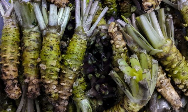 Wasabi, por qué es tan caro?