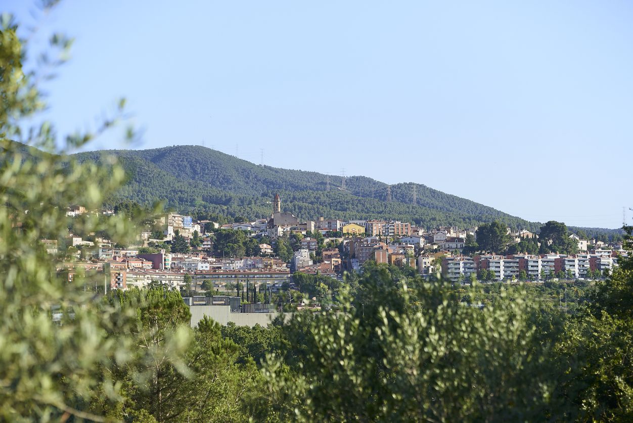 El Gran Penedès viu una major feblesa del creixement | iStock El Gran Penedès viu una major feblesa del creixement | iStock