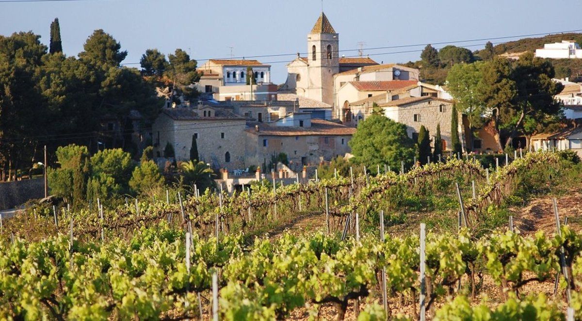 Avinyonet del Penedès, el segundo municipio més rico de la Sido | Cedida Avinyonet del Penedès, el segundo municipio més rico de la Sido | Cedida