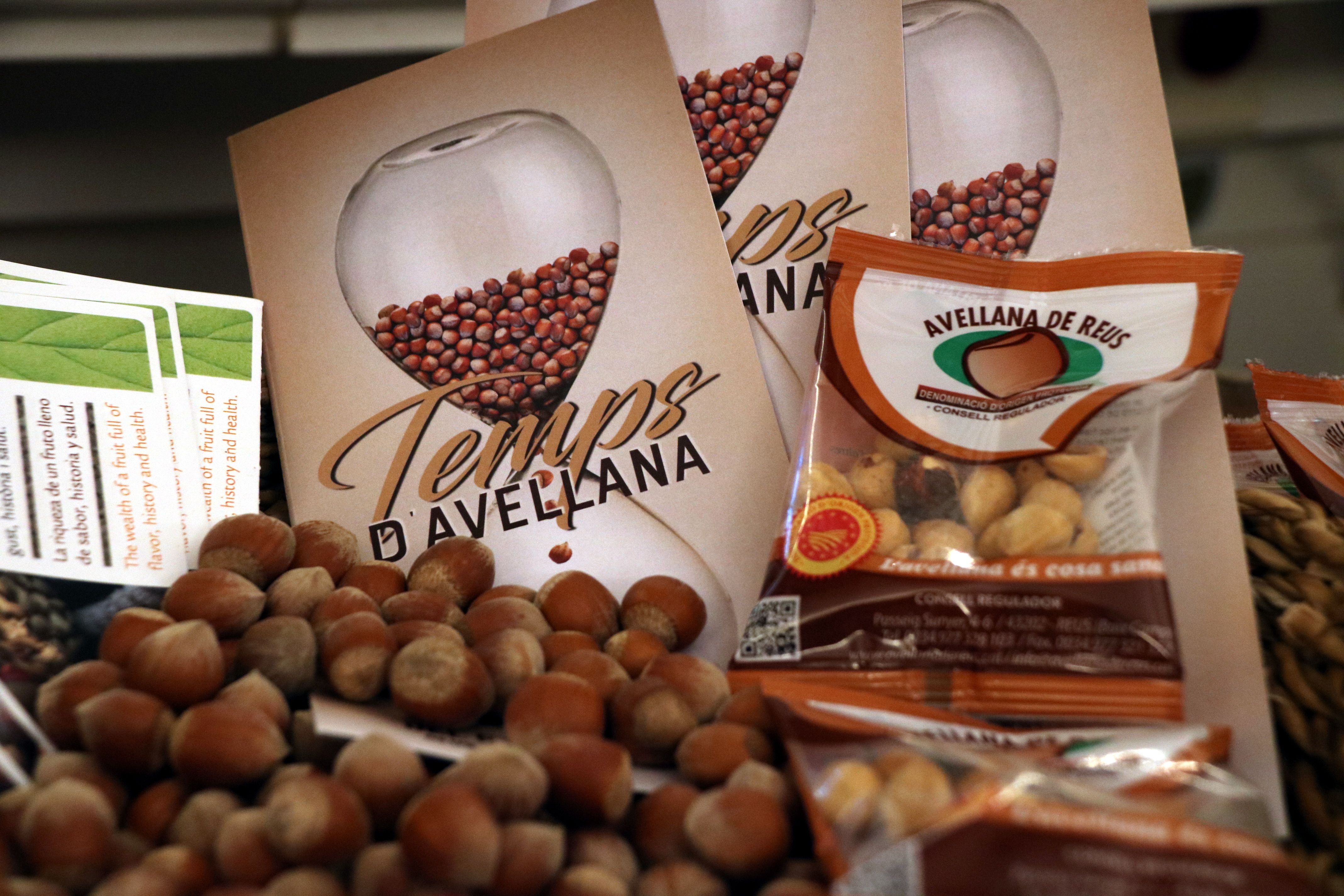 La iniciativa 'Tiempo de avellana' quiere dar més visibilidad al producto | ACN La iniciativa 'Tiempo de avellana' quiere dar més visibilidad al producto | ACN