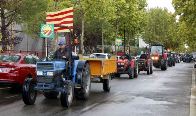 Protesta dels pagesos de l'avellana el 10 de setembre a Tarragona | ACN