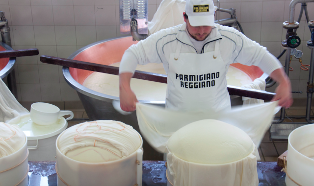 La producció del formatge parmesà és totalment manual