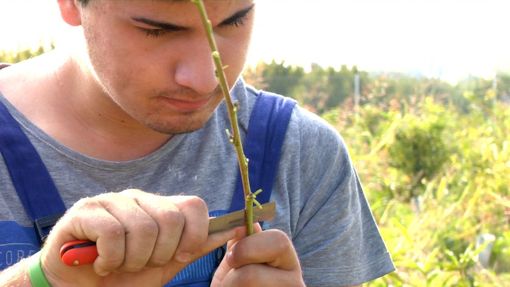 El campo català se renueva con més jóvenes y mejor formació