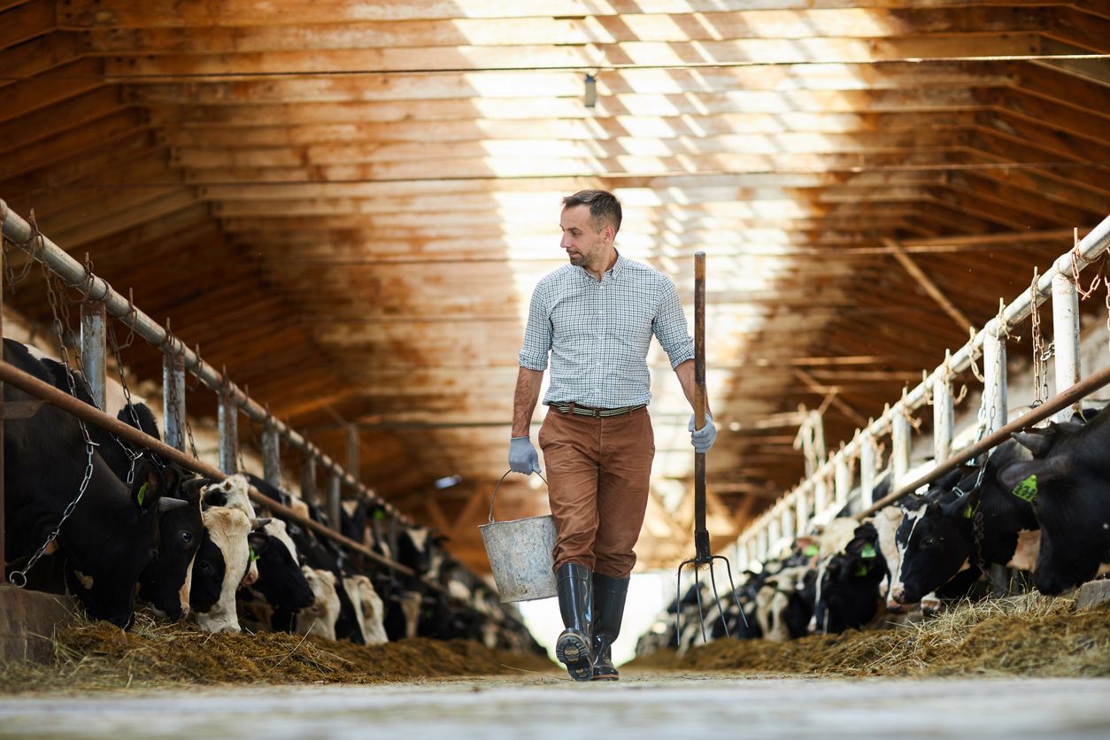 L'agroalimentari català s'allunya d'Espanya i ja ven el 60% a l'exterior | iStock L'agroalimentari català s'allunya d'Espanya i ja ven el 60% a l'exterior | iStock