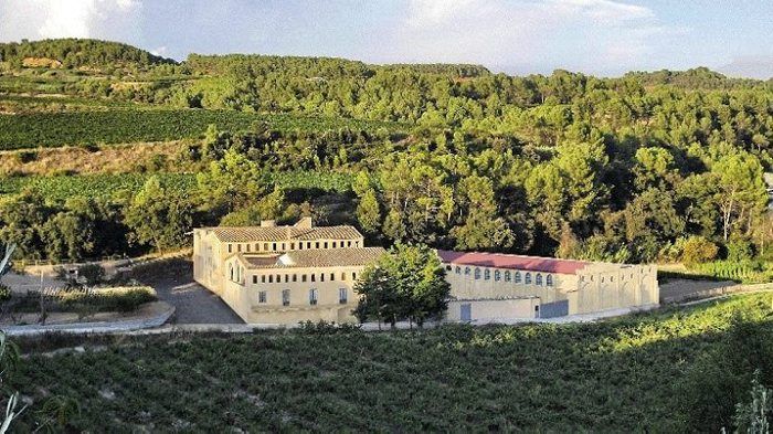 Les vinyes de Molí Parellada | Cedida Les vinyes de Molí Parellada | Cedida