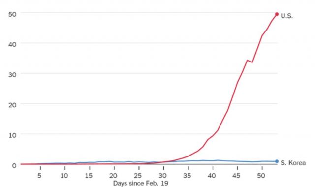 NY Times coronavirus