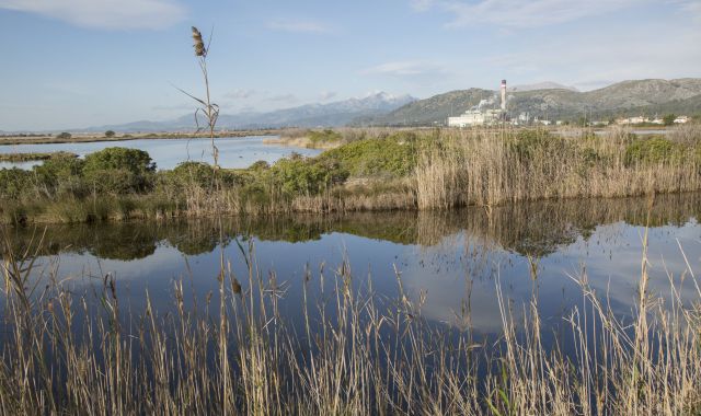 El parc natural de s'Albufera amb la planta elèctrica d'Es Murterar al fons | iStock