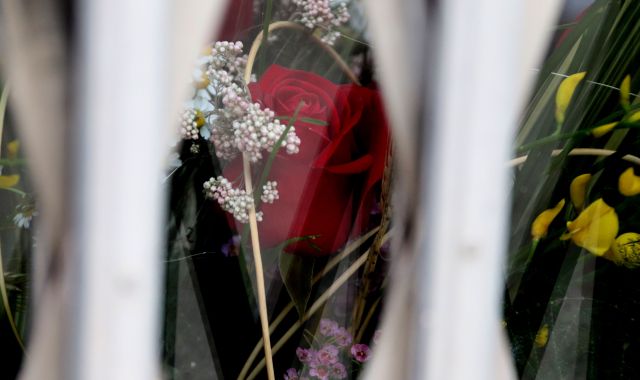 Una rosa a l'aparador d'una floristeria tancada durant la diada de Sant Jordi | ACN Una rosa a l'aparador d'una floristeria tancada durant la diada de Sant Jordi | ACN