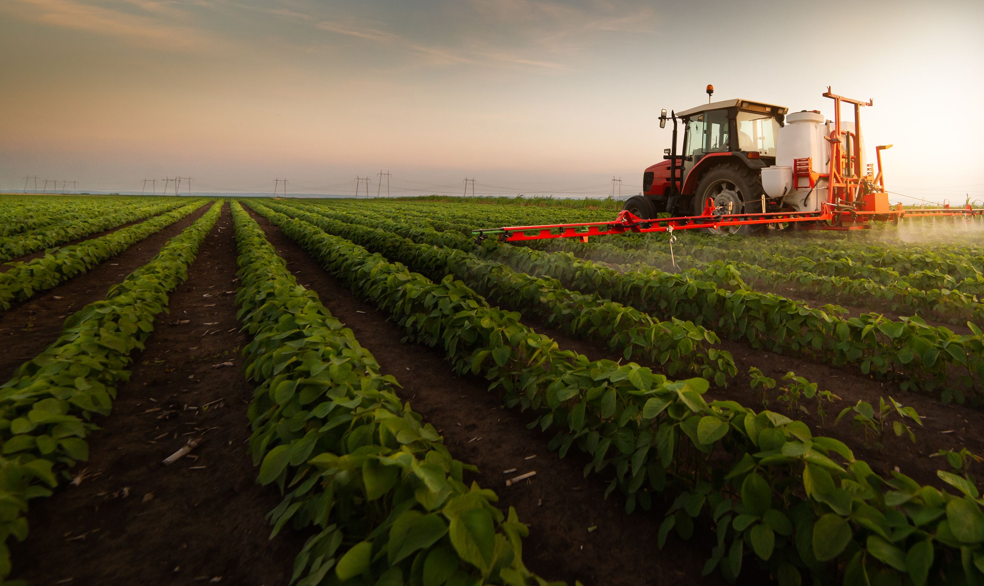 AgroAlimentando