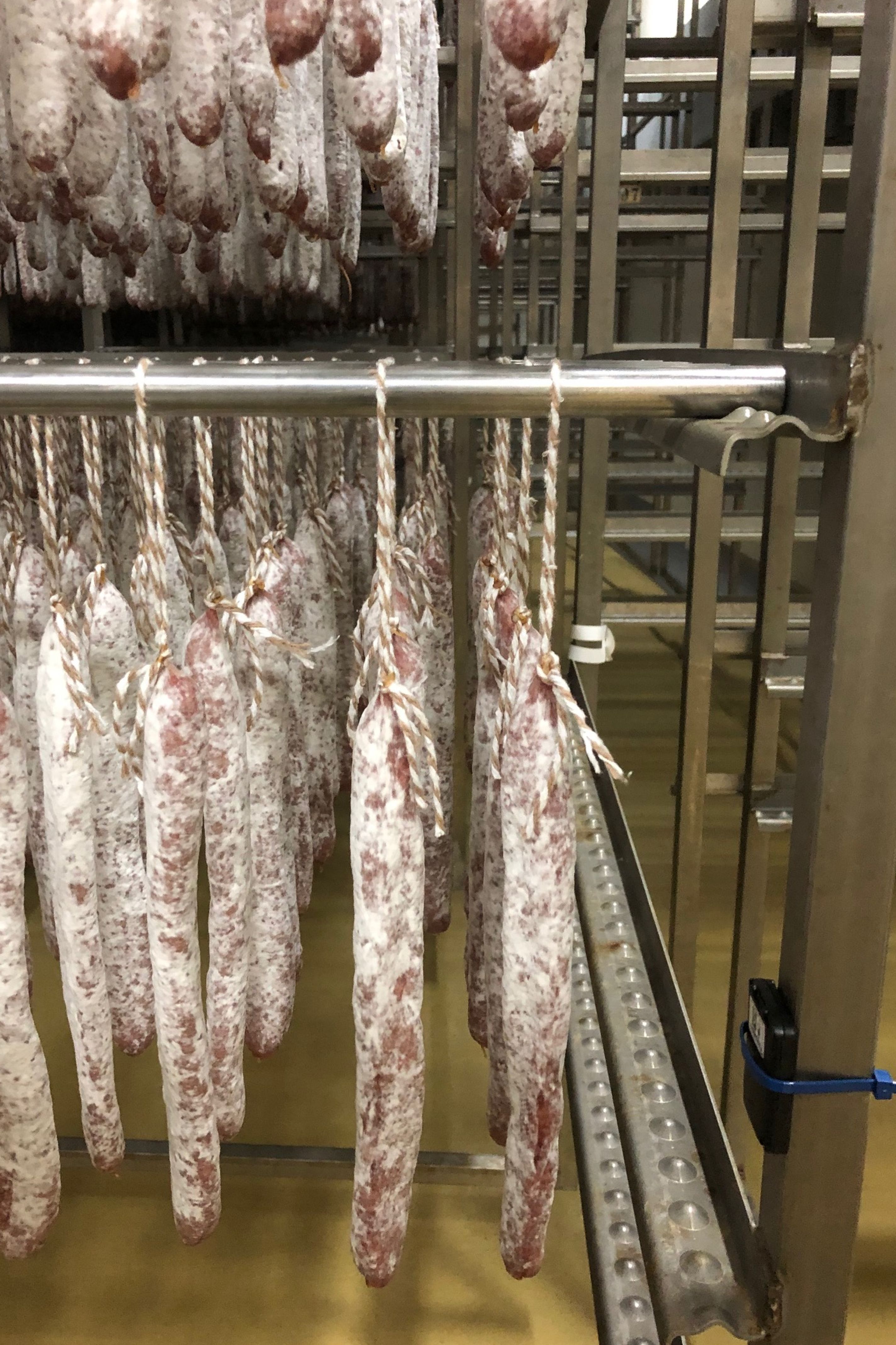 Splendid Foods está especializada en la producción de embutidos como el fuet o la longaniza | ACN Splendid Foods está especializada en la producción de embutidos como el fuet o la longaniza | ACN