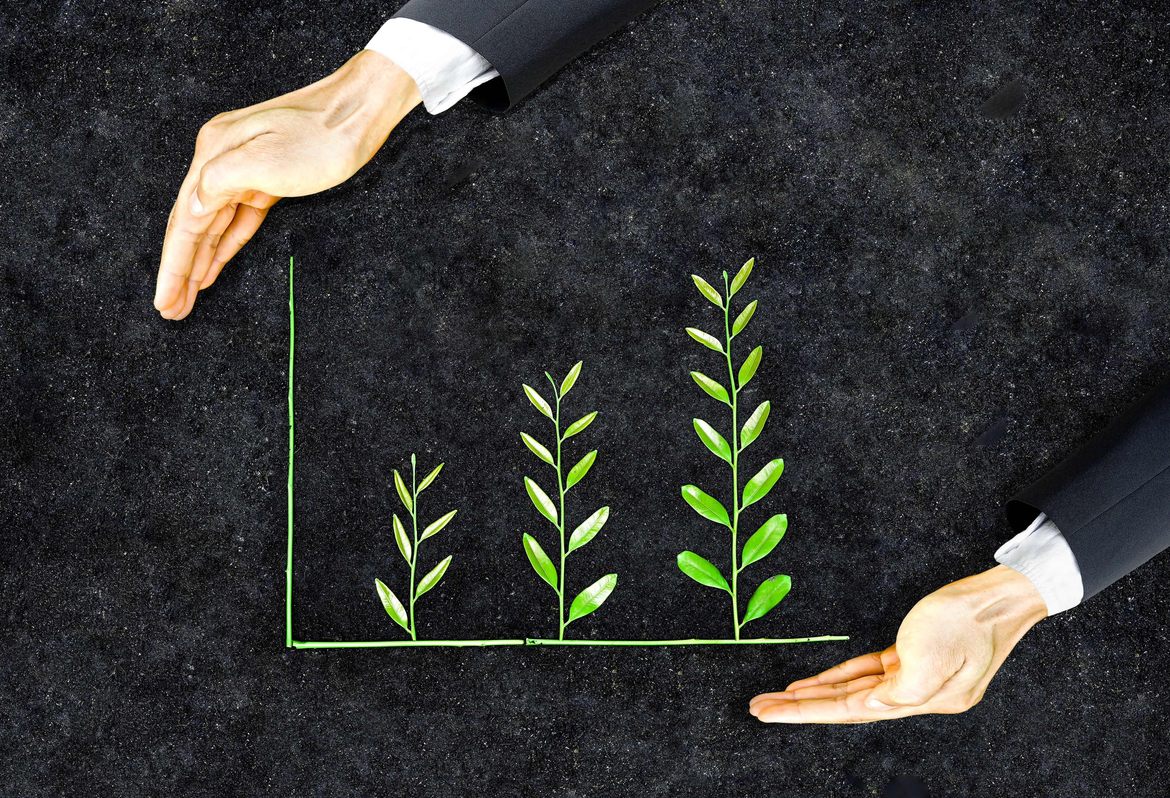 BStartup Green seleccionarà tres empreses relacionades amb la sostenibilitat | iStock BStartup Green seleccionarà tres empreses relacionades amb la sostenibilitat | iStock