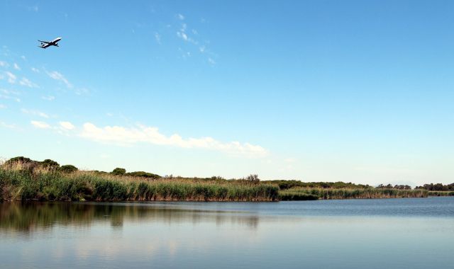 La afectación sobre la zona húmeda de La Ricarda es uno de los puntos más conflictivos de la ampliación del Aeropuerto de Prat | ACN La afectación sobre la zona húmeda de La Ricarda es uno de los puntos más conflictivos de la ampliación del Aeropuerto de Prat | ACN