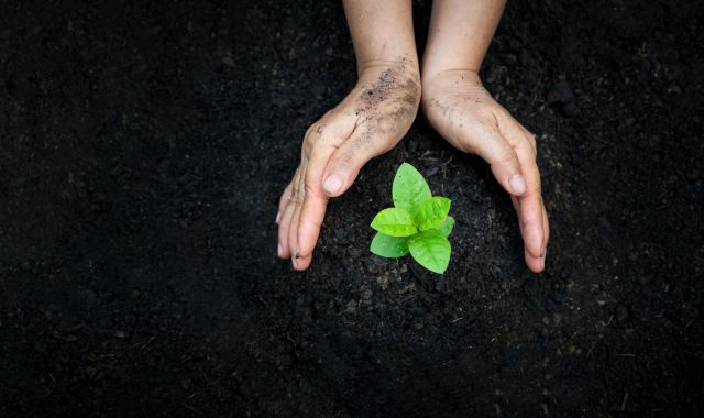 El 'greenwashing' es una práctica a la que recurren ciertas empresas para mejorar la percepción de su marca | iStock El 'greenwashing' es una práctica a la que recurren ciertas empresas para mejorar la percepción de su marca | iStock