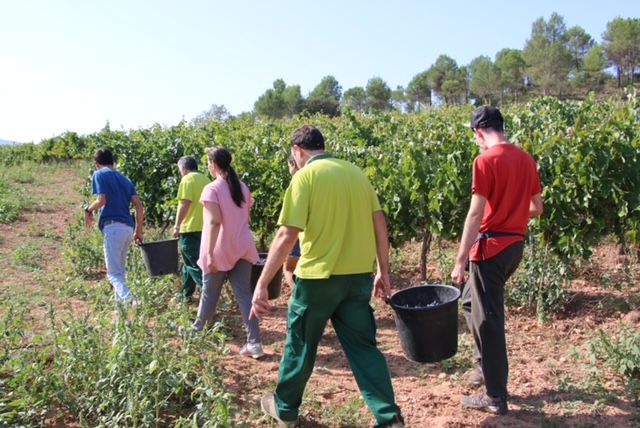 Un dels projectes d'Ampans és Vins Urpina | Cedida