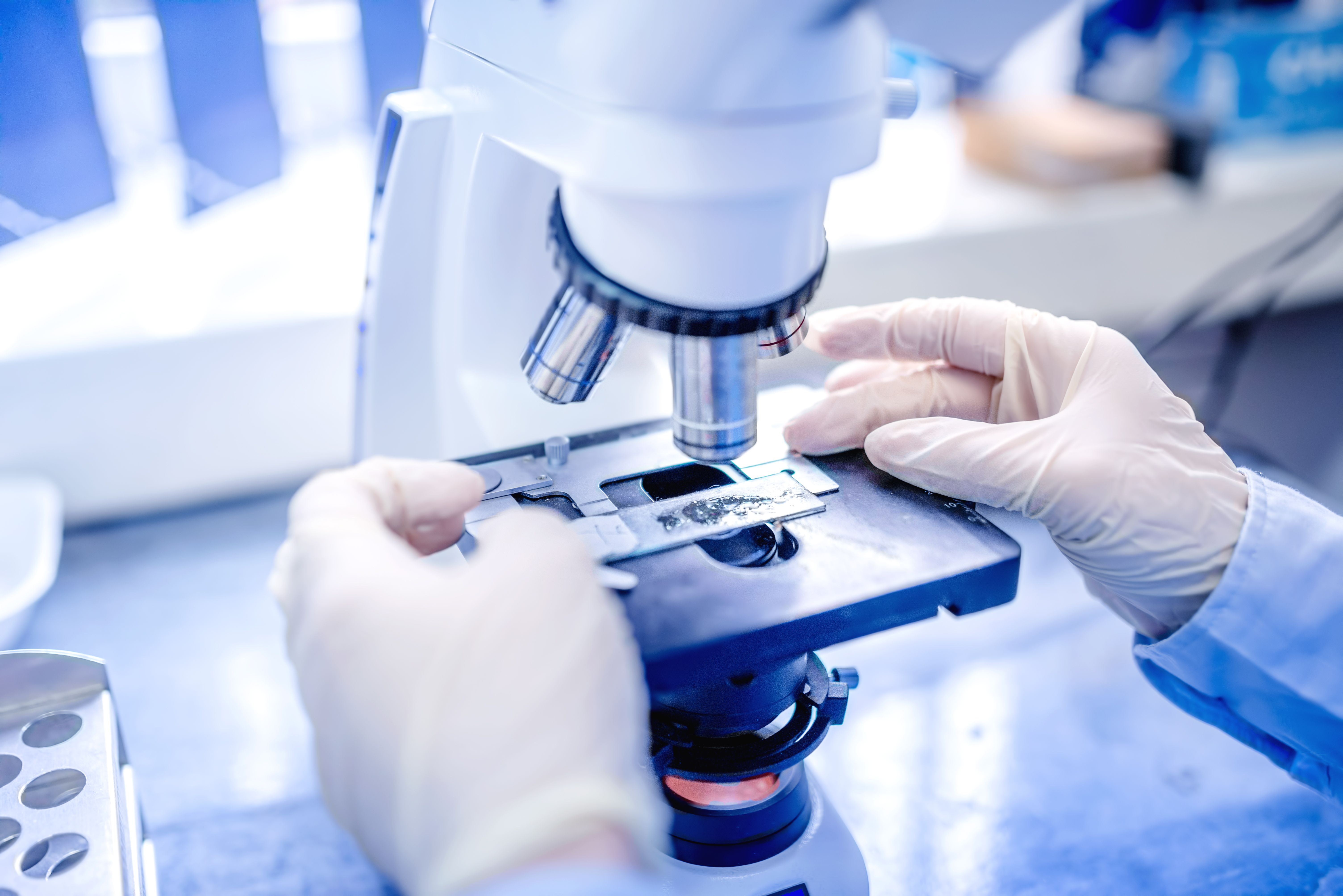 Las empresas nanotecnològiques catalanas son principalmente pymes y exportadoras | iStock Las empresas nanotecnològiques catalanas son principalmente pymes y exportadoras | iStock