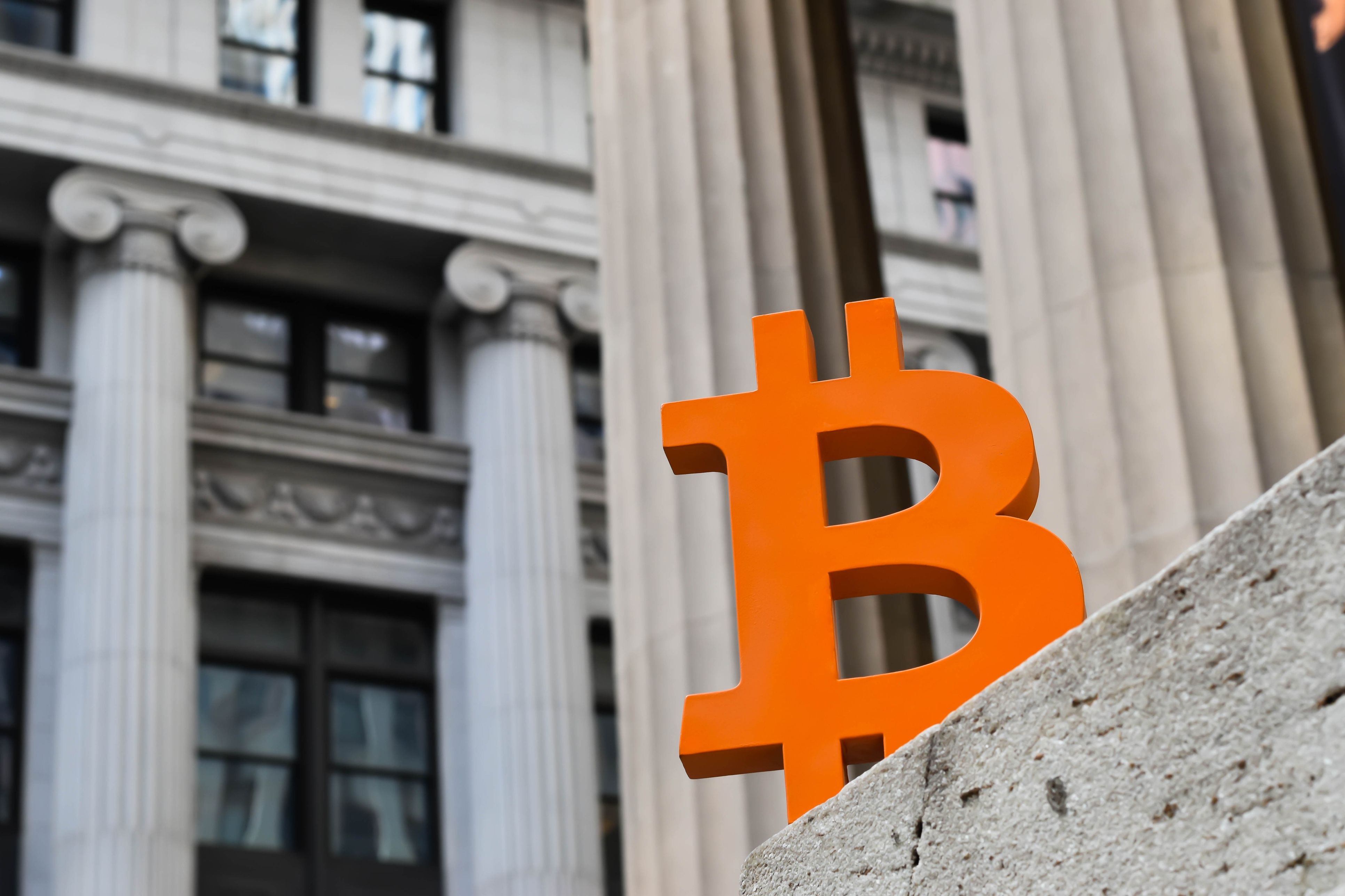 Cómo sobrevivir a la "criptolocura". | iStock