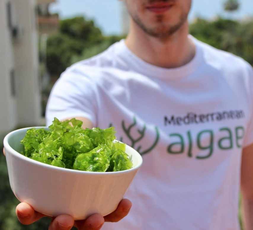 Mediterranean Algae utilitza els extractes d'algues per a productes cosmètics | Cedida Mediterranean Algae utilitza els extractes d'algues per a productes cosmètics | Cedida