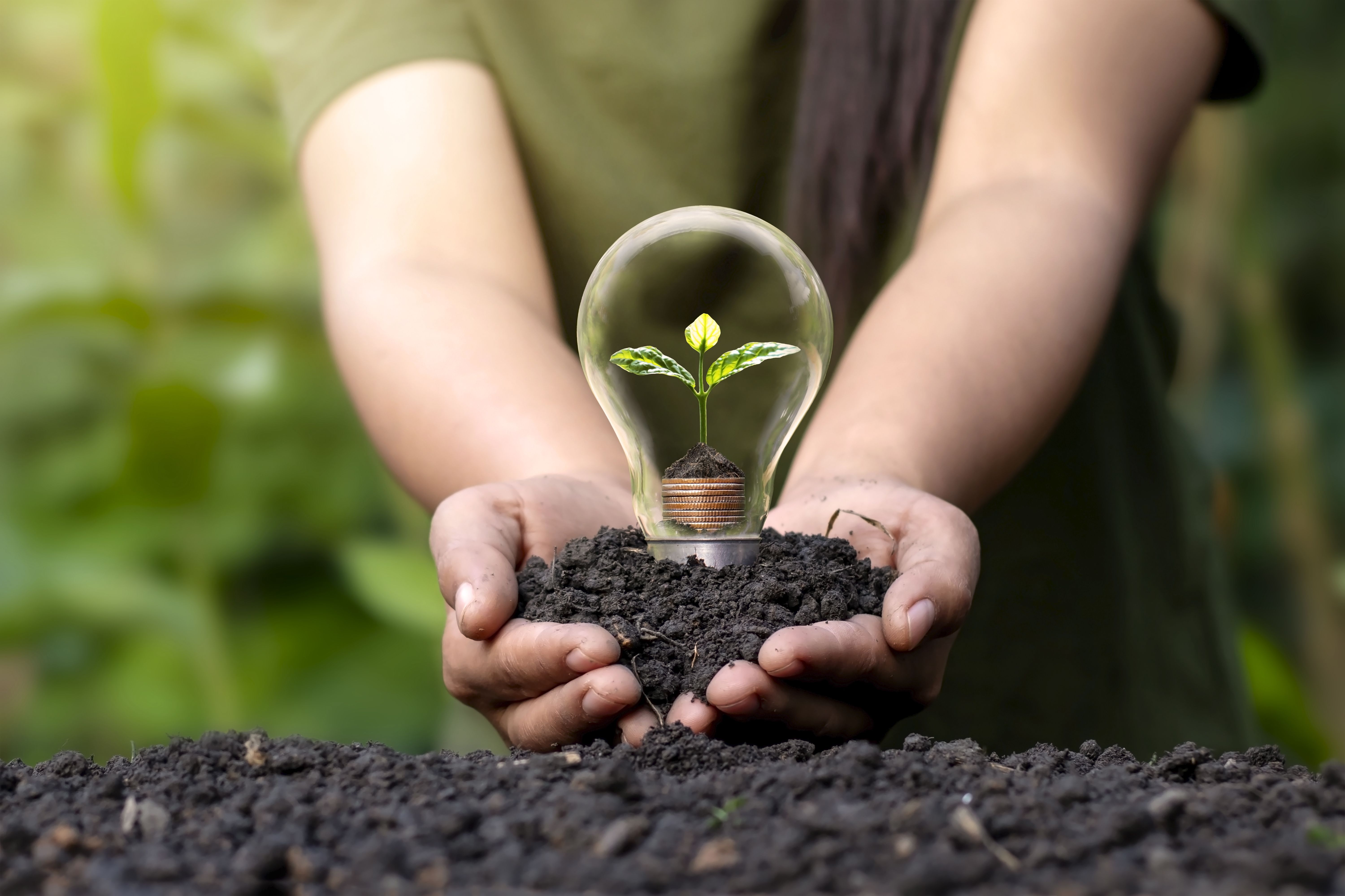El pla RESET acompanyarà noves iniciatives empresarials sostenibles i circulars | iStock El pla RESET acompanyarà noves iniciatives empresarials sostenibles i circulars | iStock