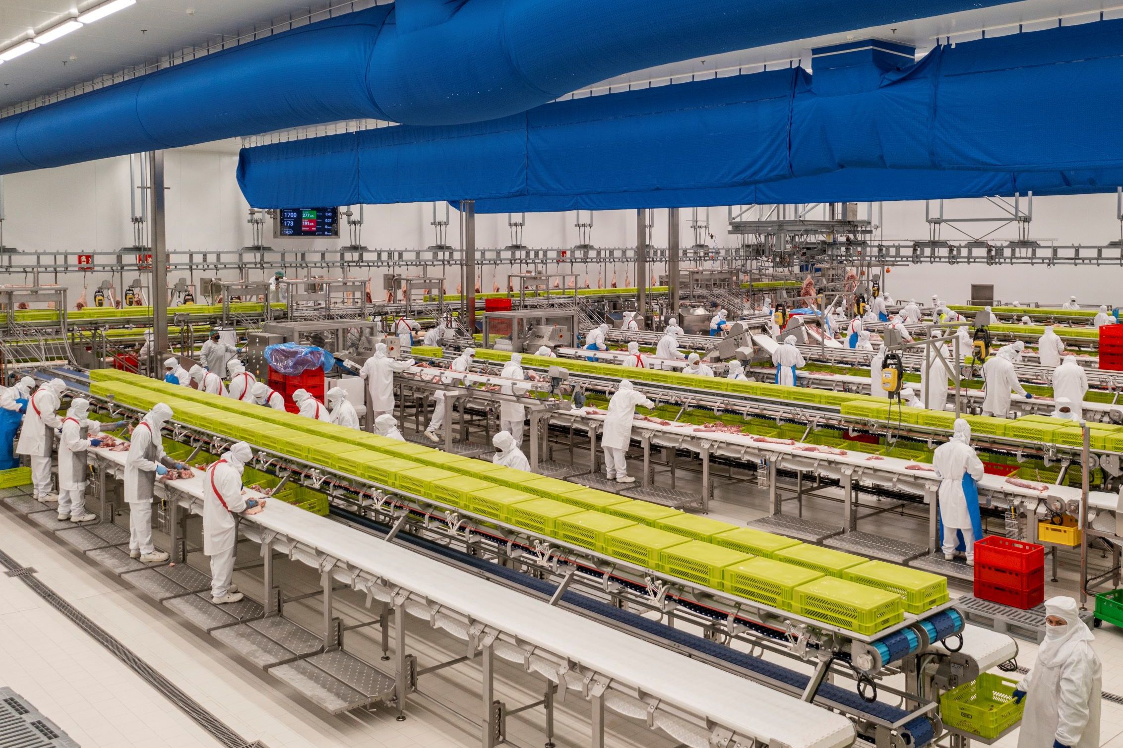 La planta de Noel a Olot | ACN La planta de Noel a Olot | ACN