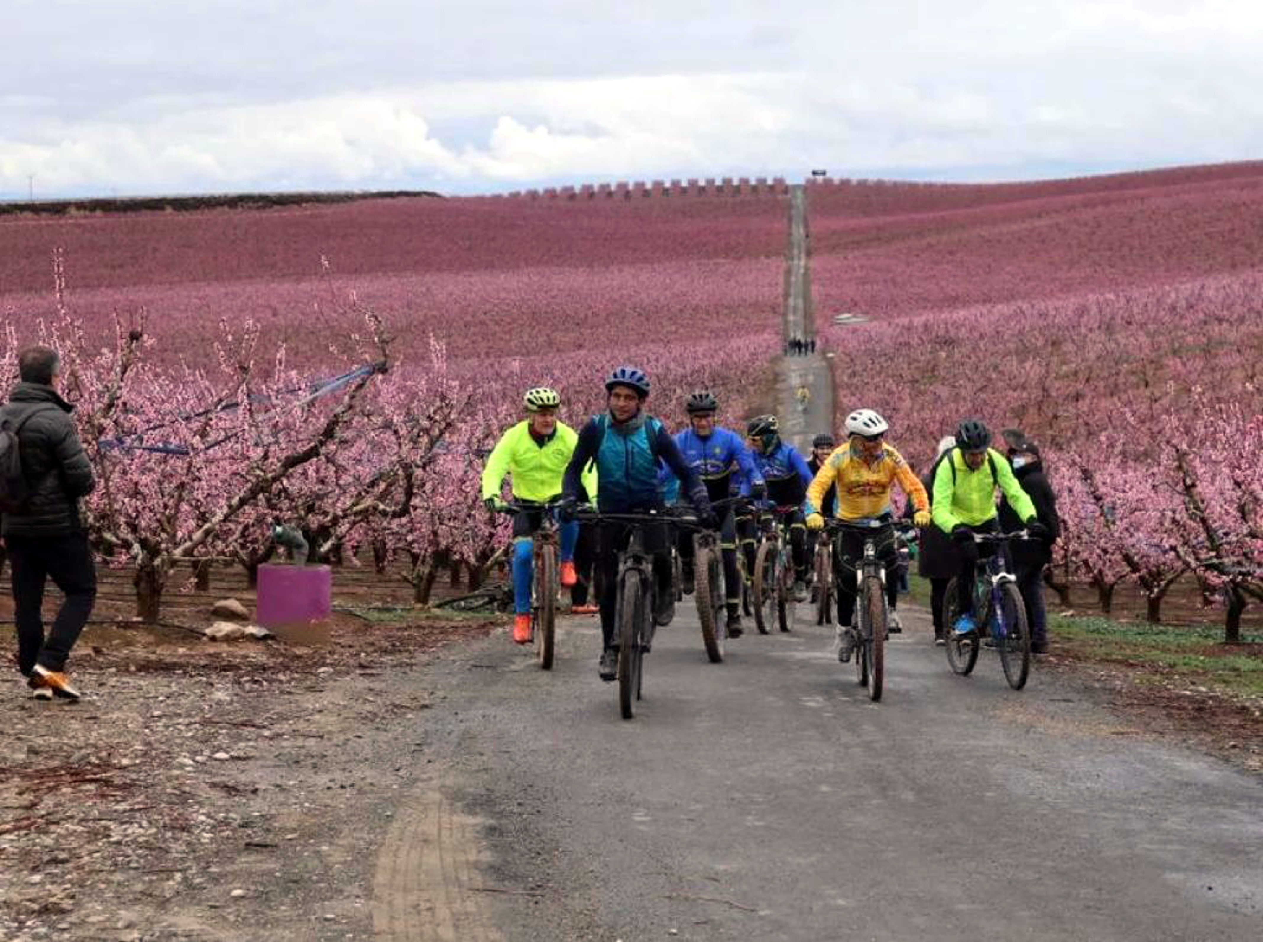 Un grupo de ciclistas visitando los campos floridos de Aitona | ACN Un grupo de ciclistas visitando los campos floridos de Aitona | ACN