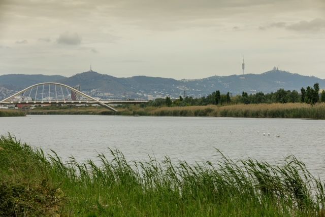 Río Llobregat | iStock Río Llobregat | iStock
