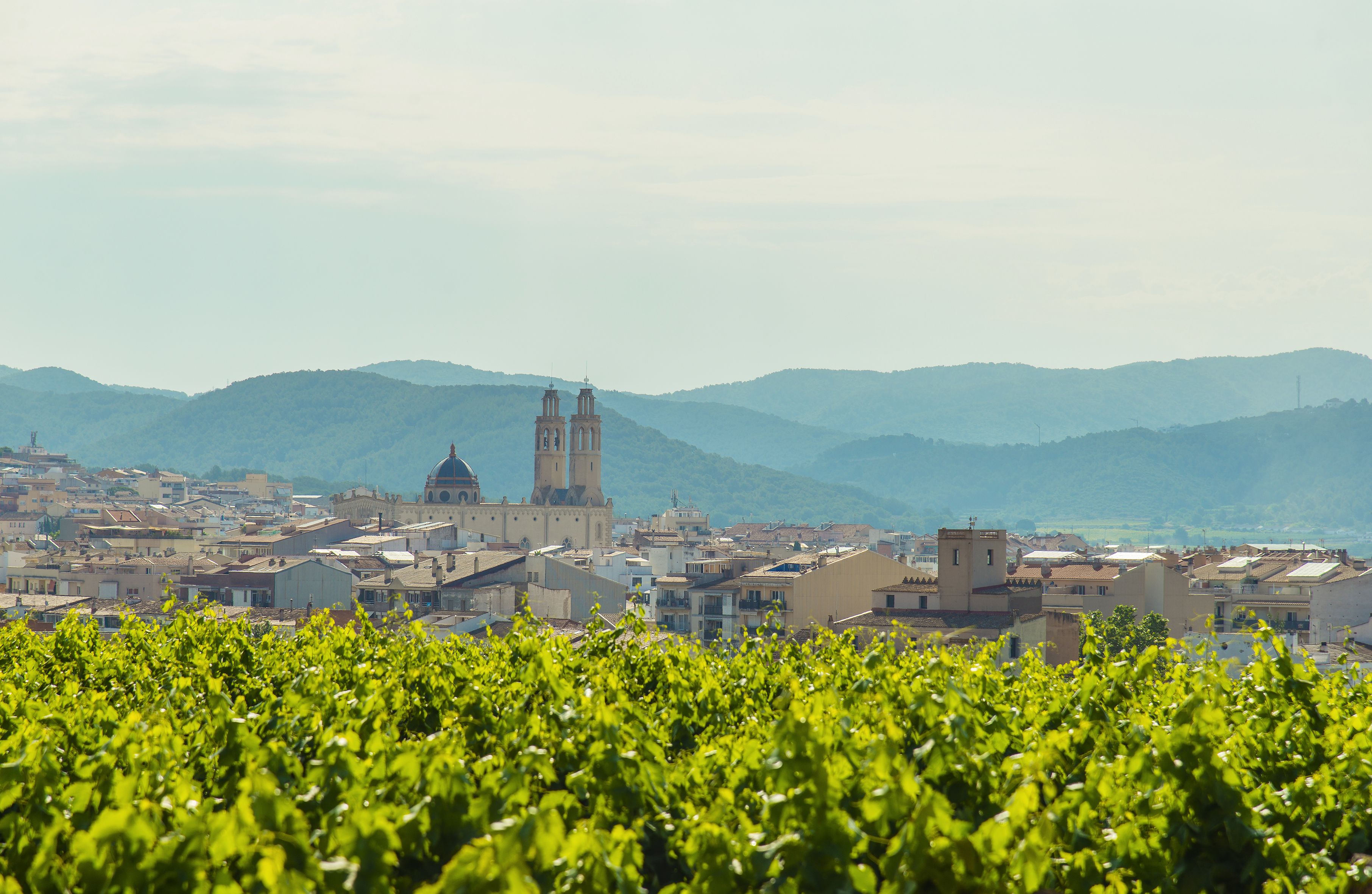 La operación afecta a un terreno en Sant Pere de Ribes |iStock La operación afecta a un terreno en Sant Pere de Ribes |iStock