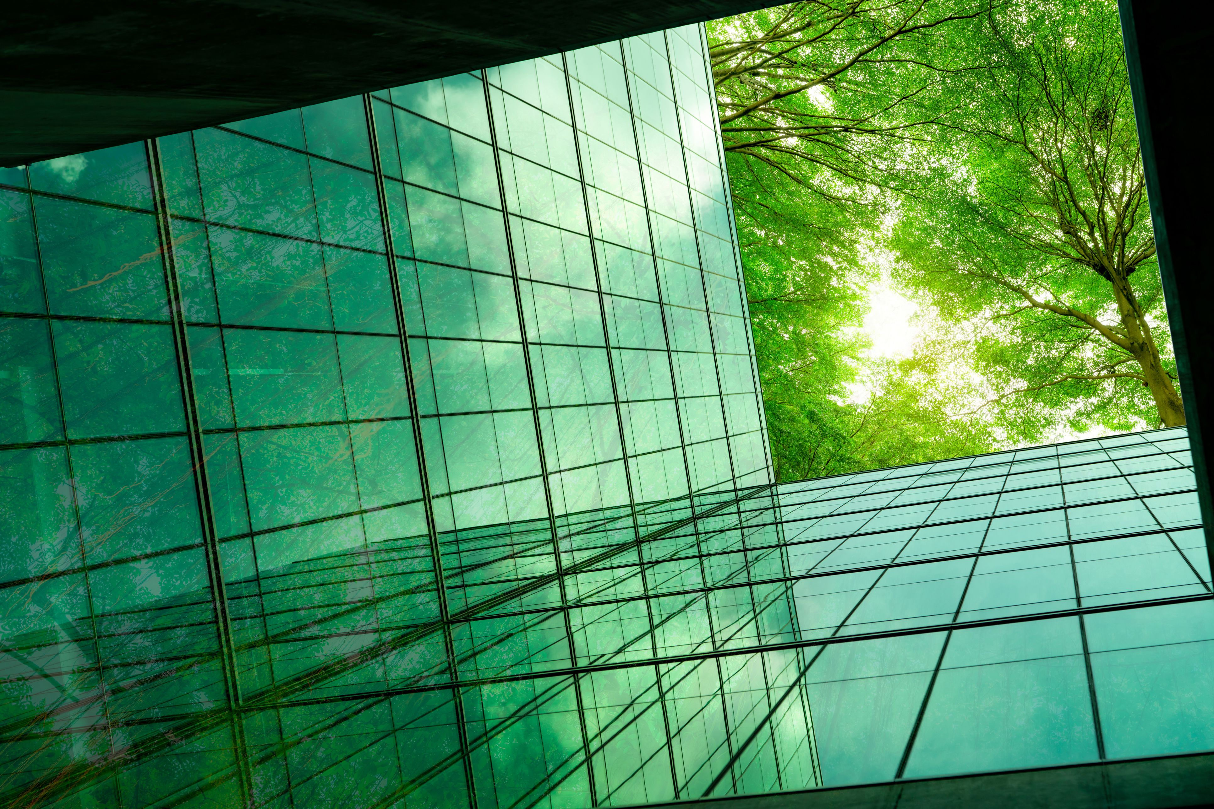 Interior d'un edifici sostenible | iStock Interior d'un edifici sostenible | iStock