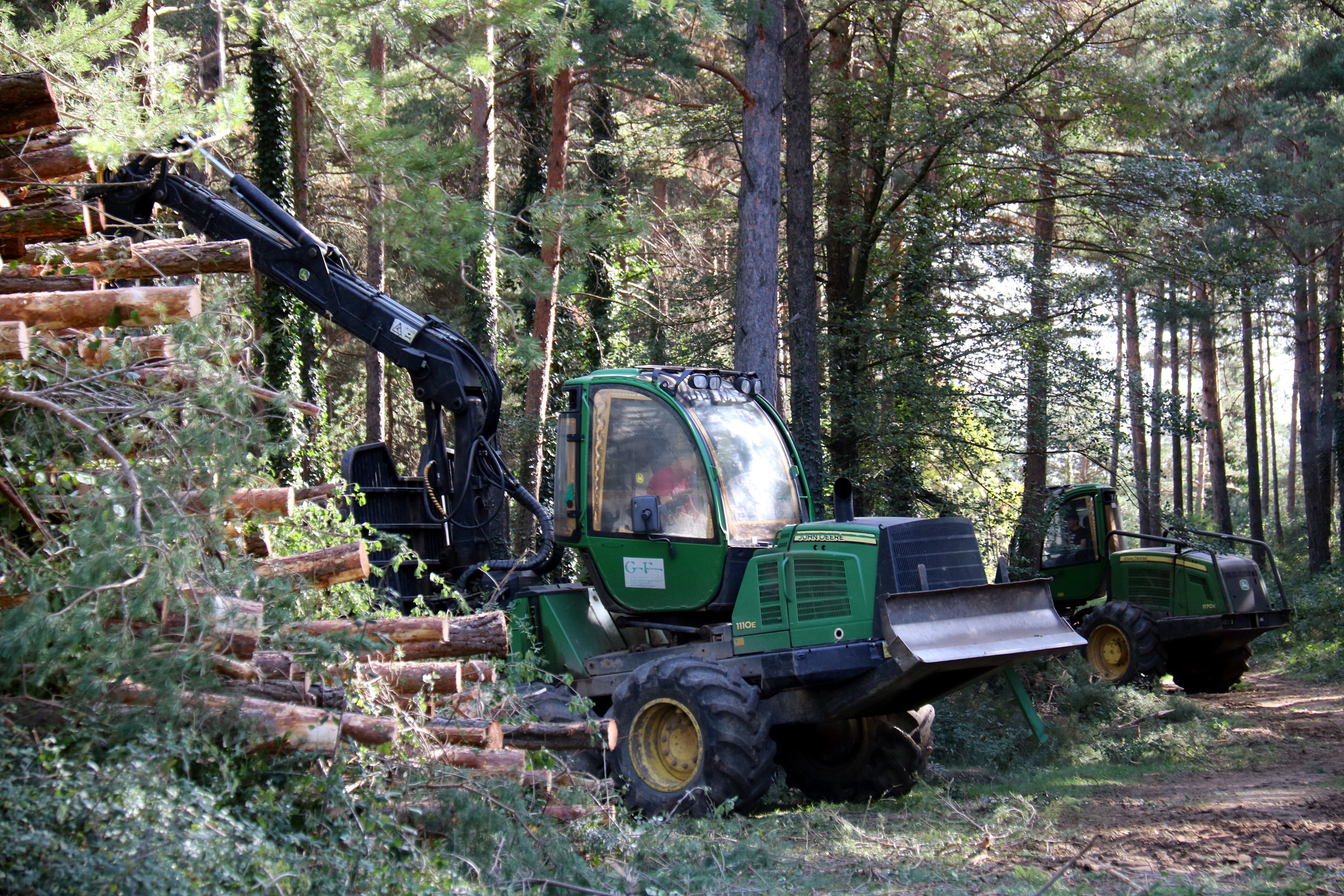 Una máquina forestal trabaja en un bosque | ACN Una máquina forestal trabaja en un bosque | ACN