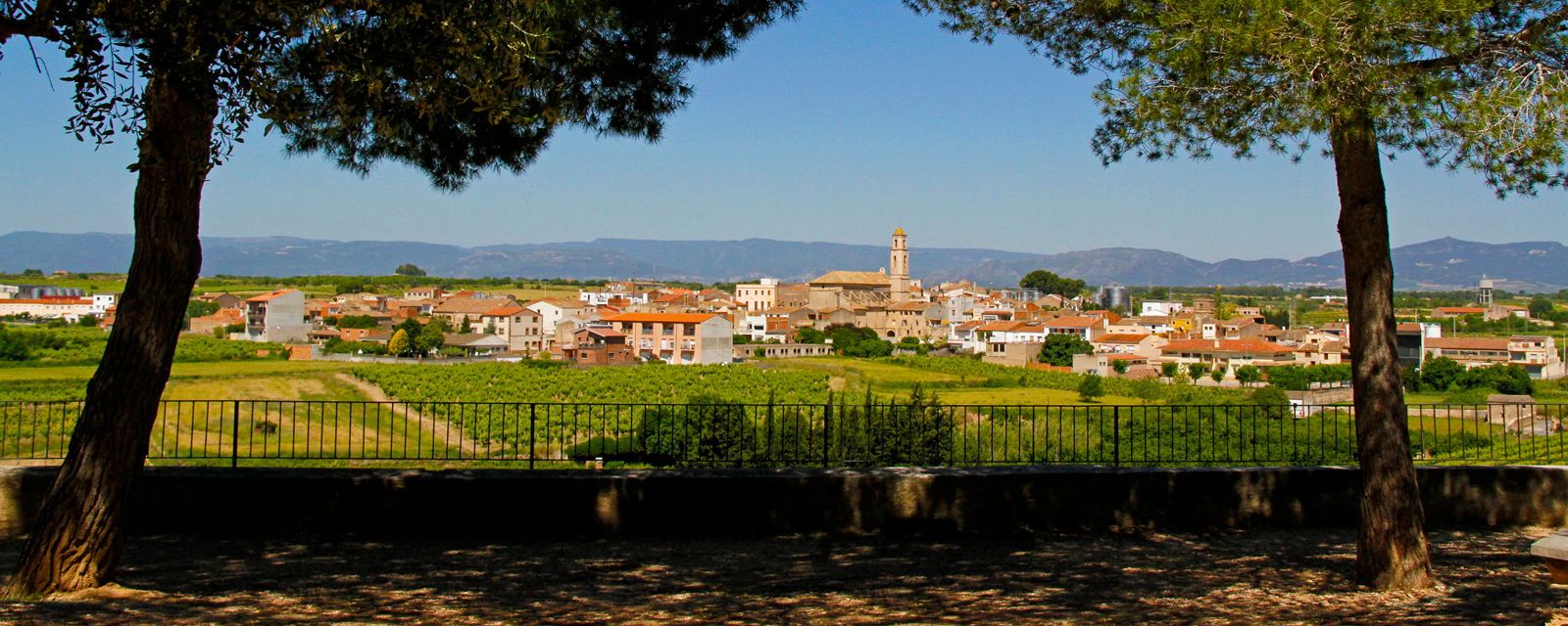 Imatge del municipi de Bràfim (Alt Camp) | Diputació de Tarragona Imatge del municipi de Bràfim (Alt Camp) | Diputació de Tarragona