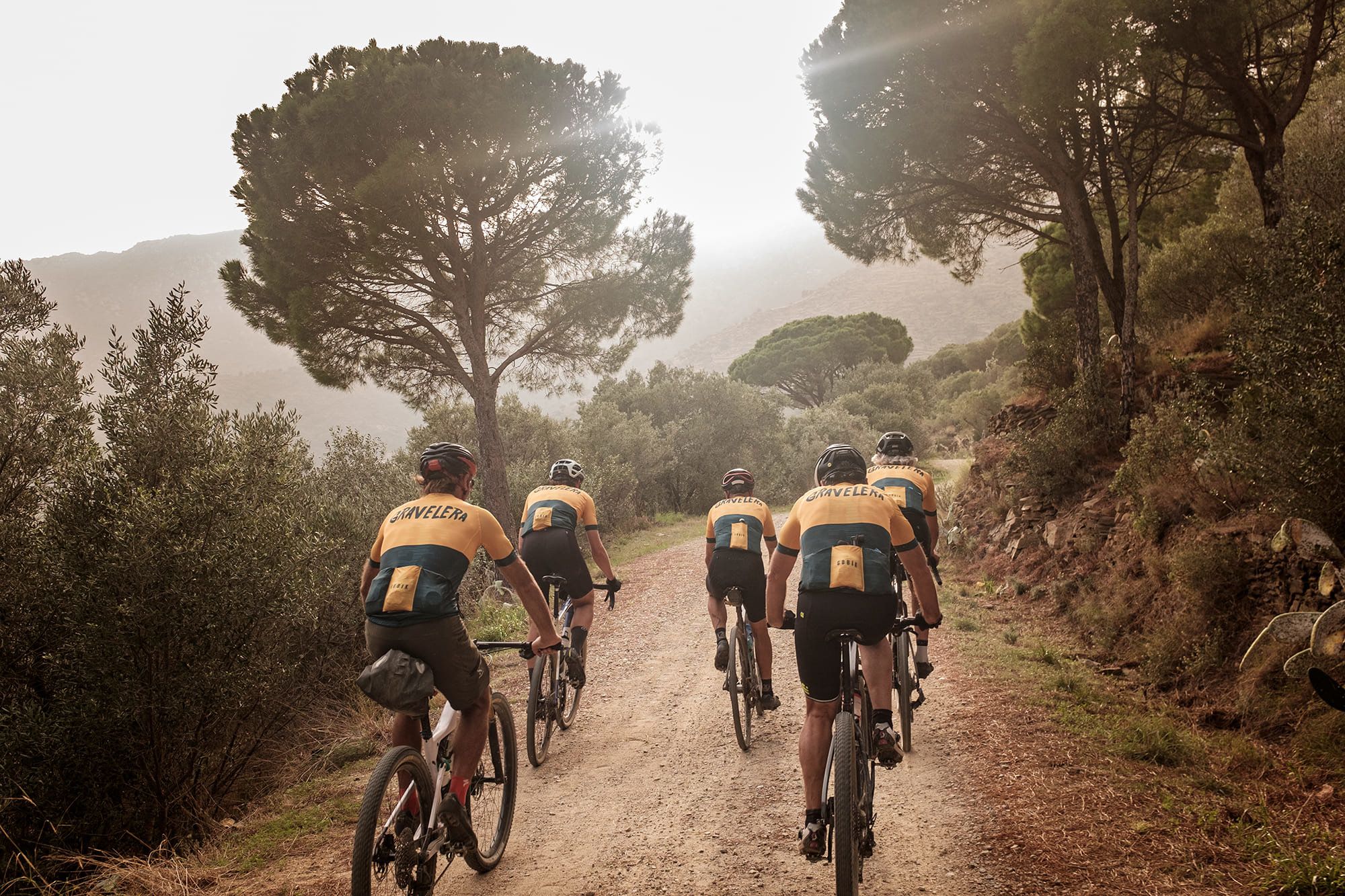 Un equip de ciclistes circulen per una pista forestal de la Jonquera | ACN Un equip de ciclistes circulen per una pista forestal de la Jonquera | ACN