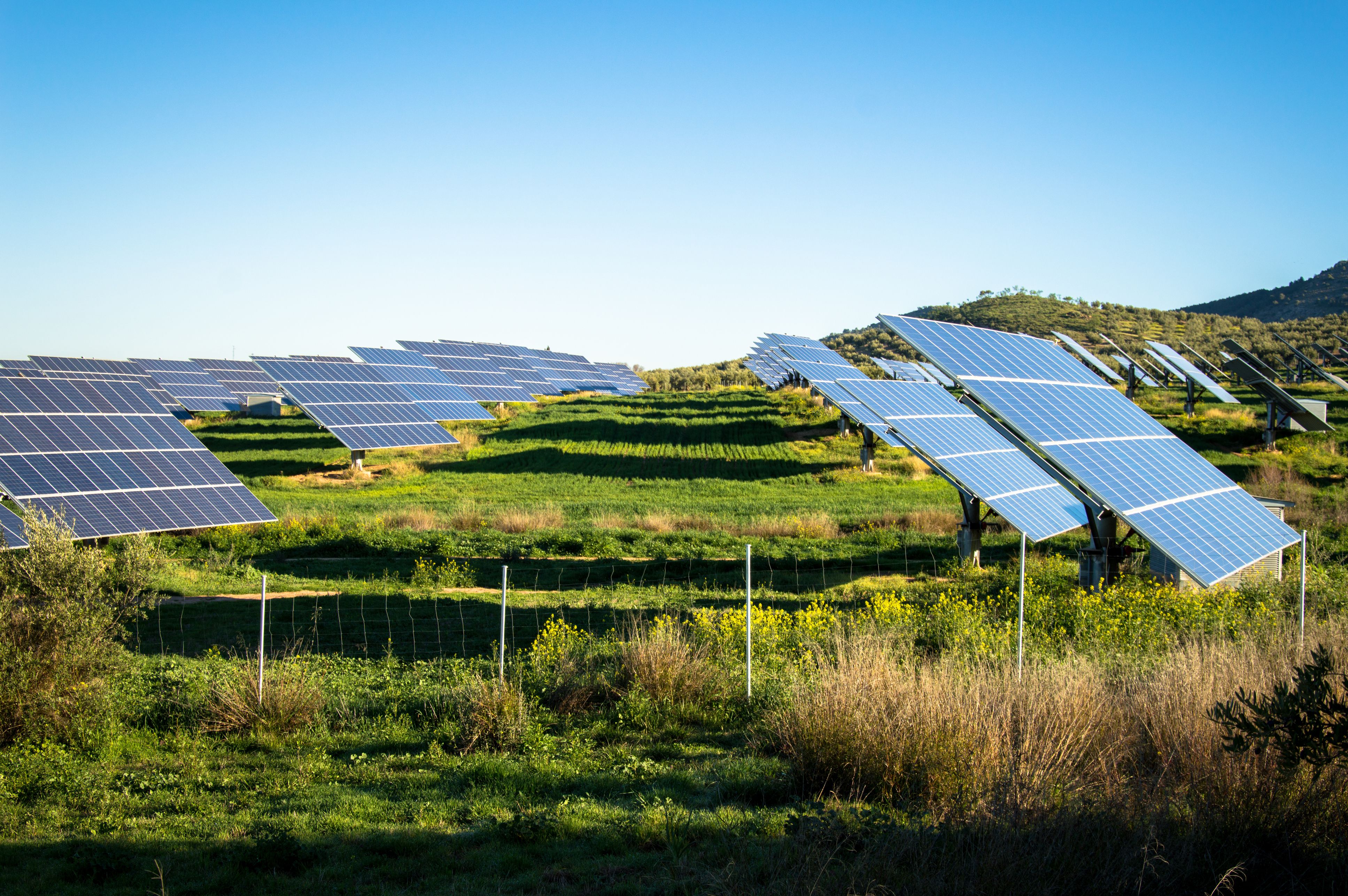 Imagen de archivo de un parque solar | iStock Imagen de archivo de un parque solar | iStock