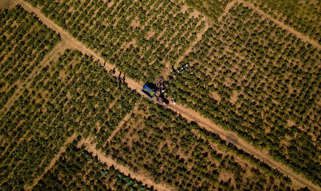 El cava català ha patit un canvi de model amb el pas dels anys | iStock