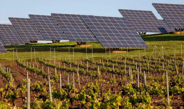 S'estan deixant terrenys agrícoles per a la instal·lació de plaques solars | EP