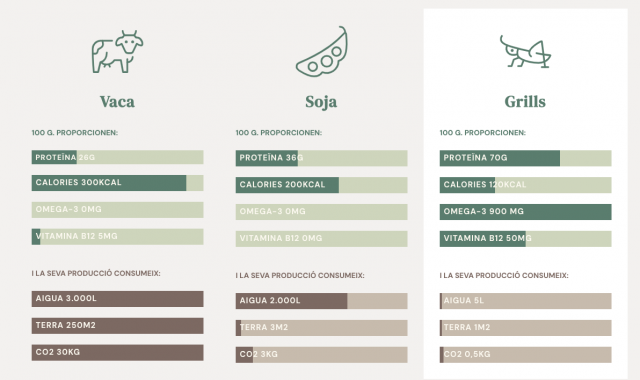 100 gramos de ternera proporcionan 26 gramos de proteína, ante los 70 gramos que ofrecen los grillos | GrillCo 100 gramos de ternera proporcionan 26 gramos de proteína, ante los 70 gramos que ofrecen los grillos | GrillCo