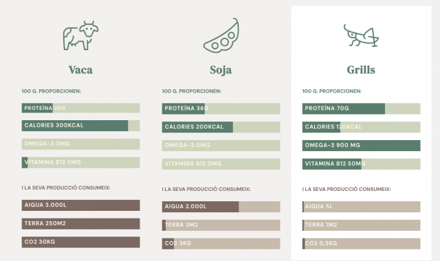 100 gramos de ternera proporcionan 26 gramos de proteína, ante los 70 gramos que ofrecen los grillos | GrillCo