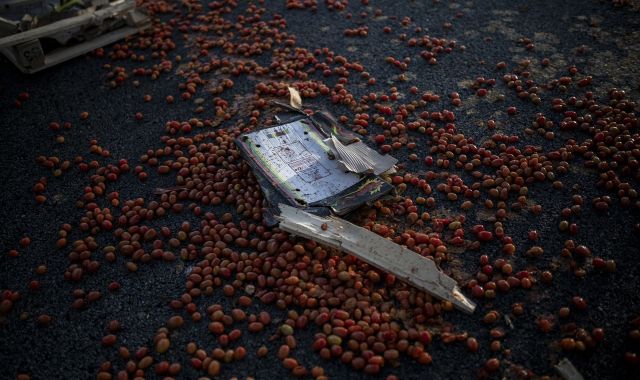 Els agricultors tiren fruita al terra durant les protestes | EP