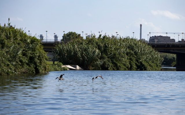 L'aprofitament de l'aigua del riu Besòs permetrà disposar de més recursos hídrics per fer front a la sequera | Cedida