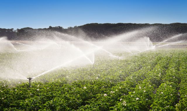 El reg de suport, una de les mesures proposades pel sector del cava per protegir les matèries primeres | iStock