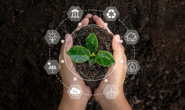 La bioeconomia busca generar valor econòmic a partir de recursos biològics renovables | iStock La bioeconomia busca generar valor econòmic a partir de recursos biològics renovables | iStock