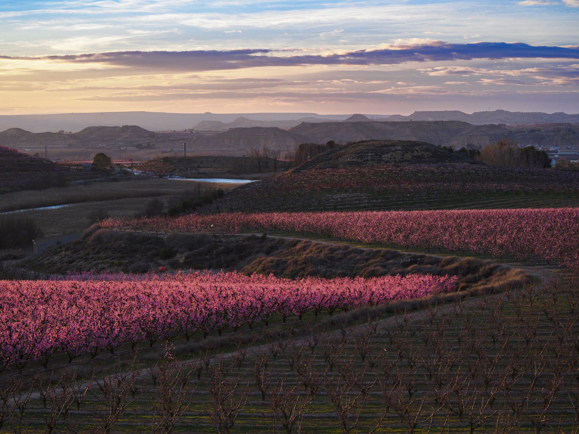 El municipio de Aitona tiene uno de los campos más bellos de Catalunya | iStock
