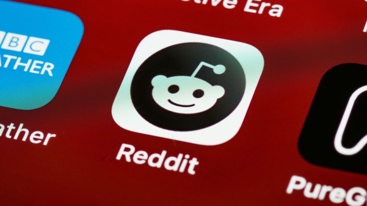 Reddit té més de 500 milions d'usuaris | EP Reddit té més de 500 milions d'usuaris | EP